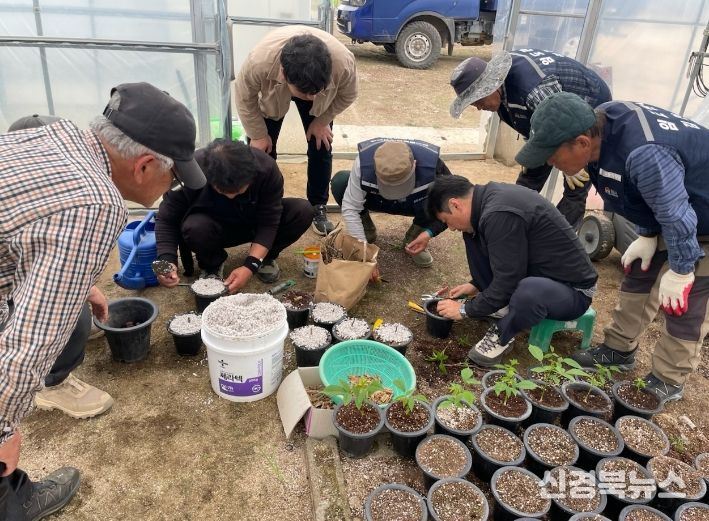 김천시, 호두나무 묘목 생산 기술 현장설명회 개최